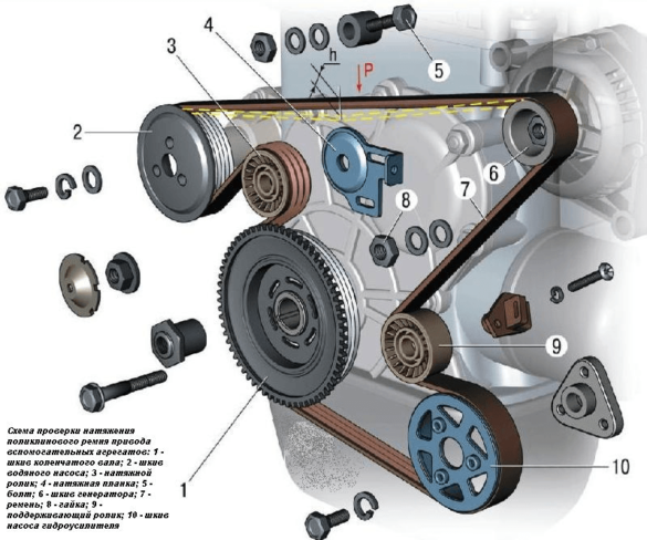 Каменс ремень генератора схема